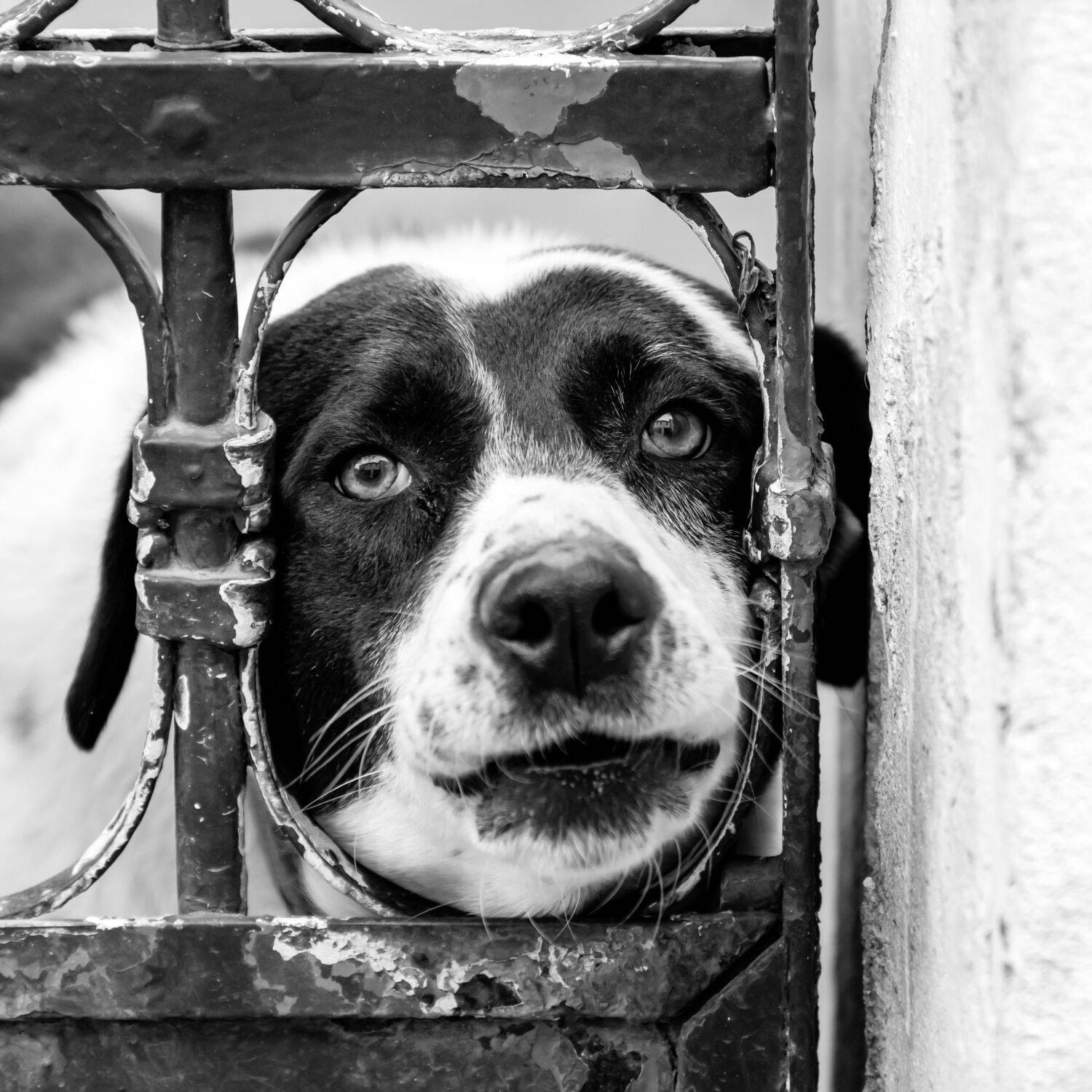 , Шилов Александр