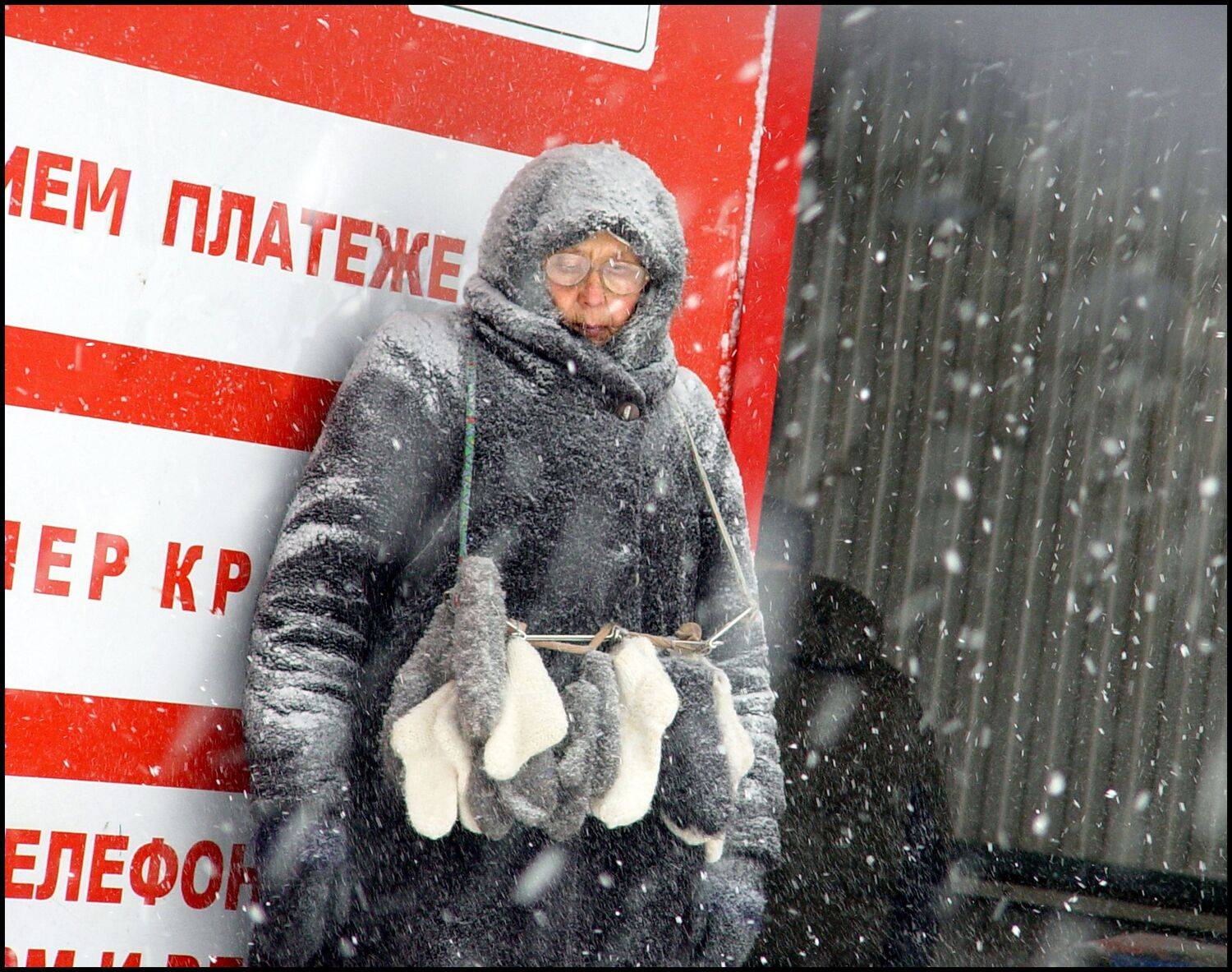 , Меднов Влад