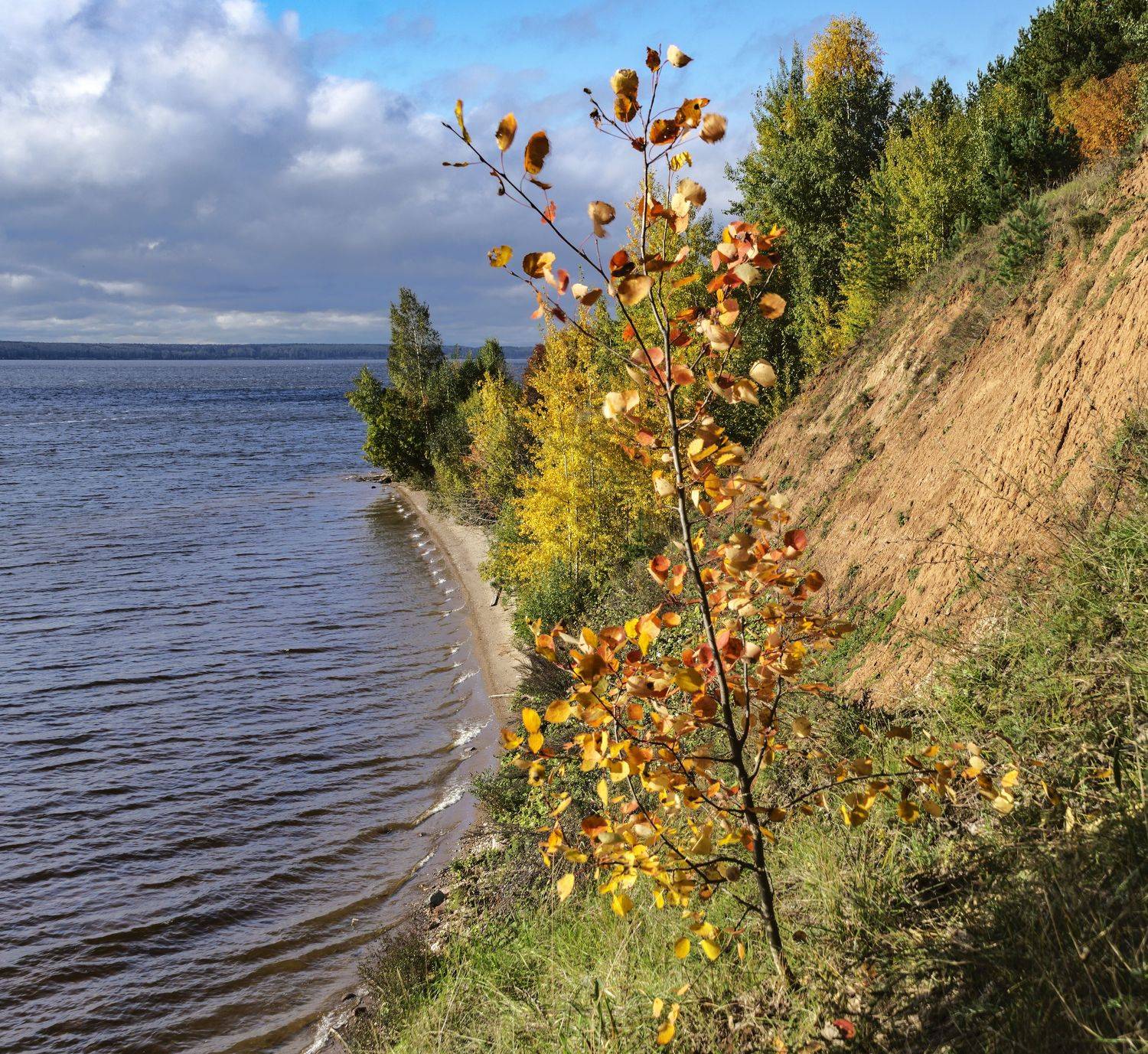 осень., Шитов Александр