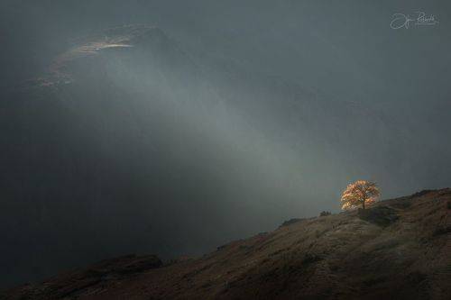 Равновесие