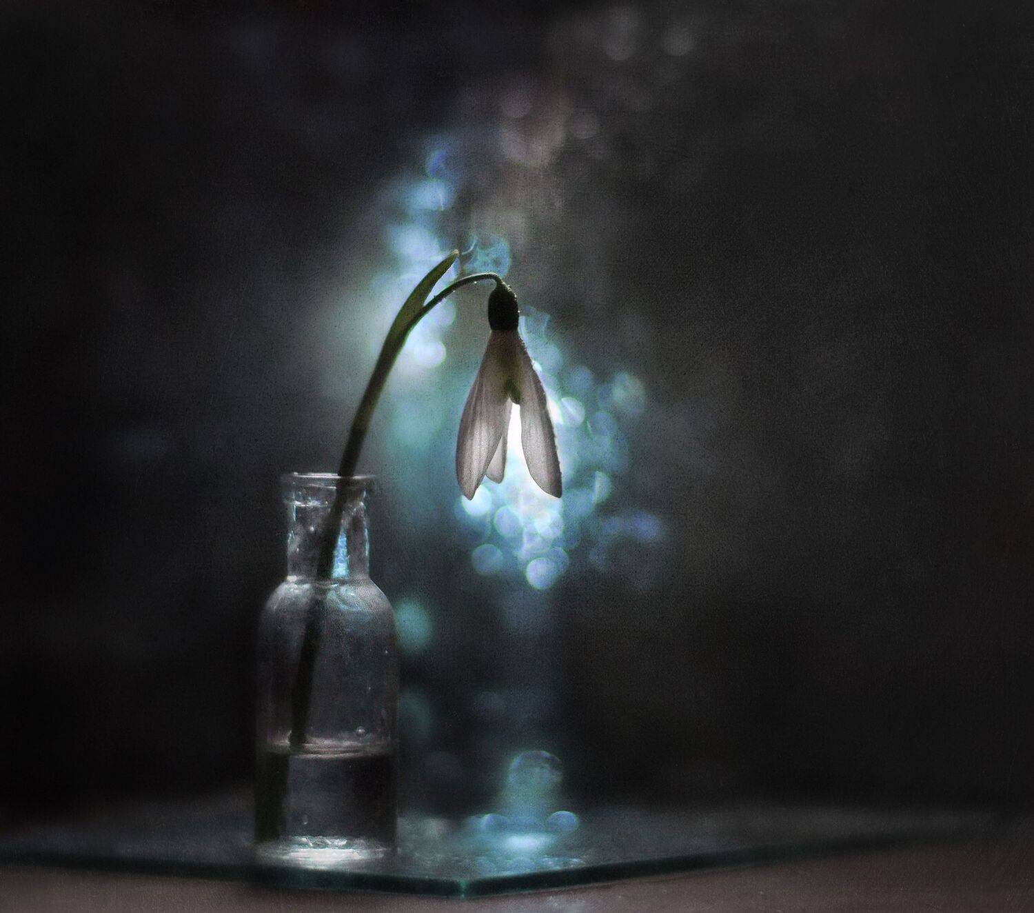 , Буглак Инна