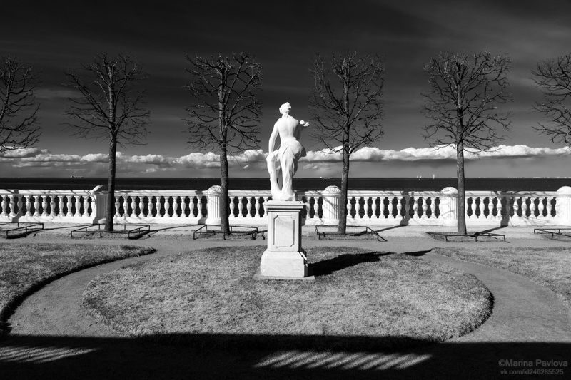 город, архитектура, пригороды санкт-петербурга, петергоф, морская терраса дворца\\ Чёрно - белая магия весеннего Петергофа фото превью