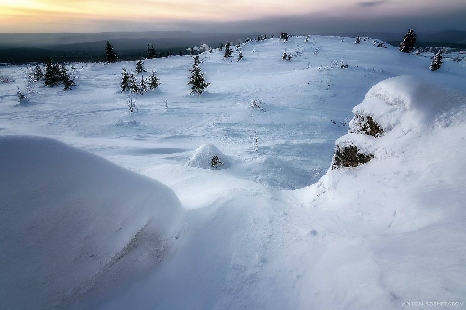 , Антон Кошетаров