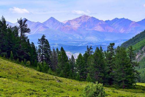 Курайский хребет