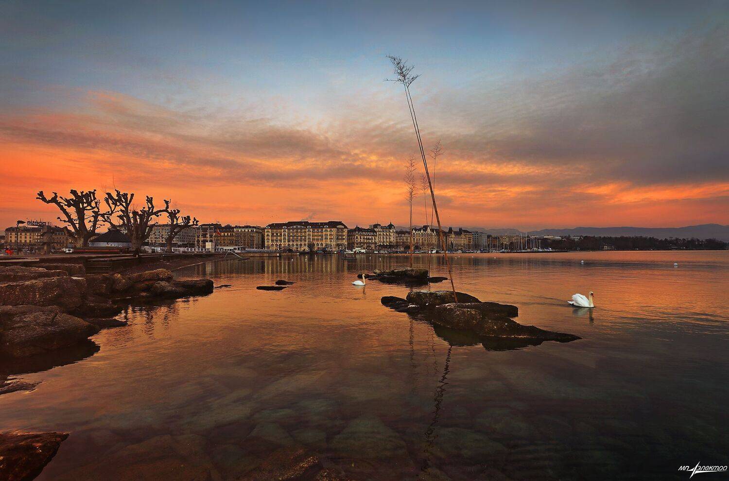 swiss,швейцария,зима,gen&egrave;ve, Николай Матвеев