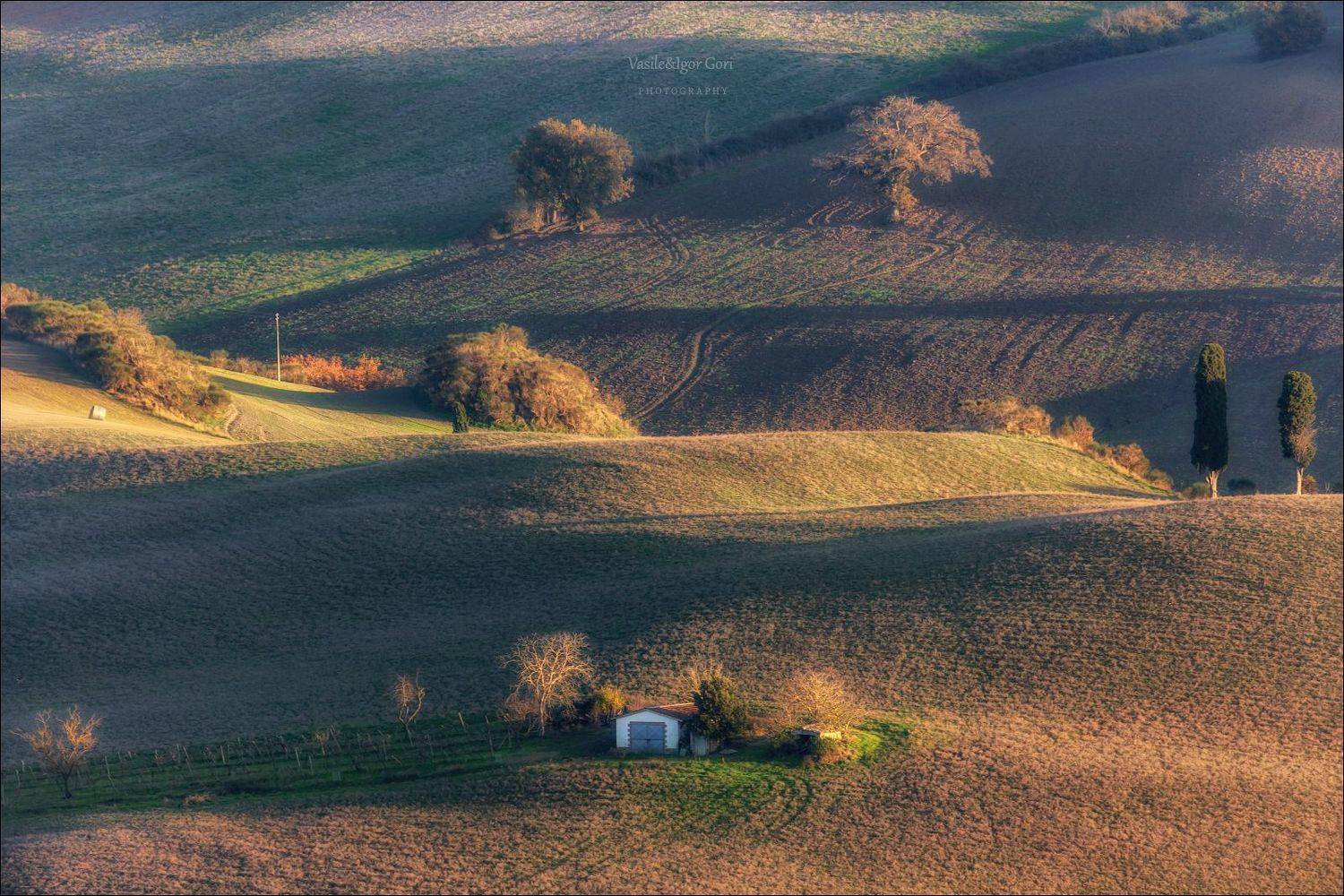 italy,san quirico d \\\' orcia,italia,поребок,италия,тоскана,pienza,кипарис,toscana,осень,tuscany,cipressi,belvede,reпьенца,тени, Гори Василий