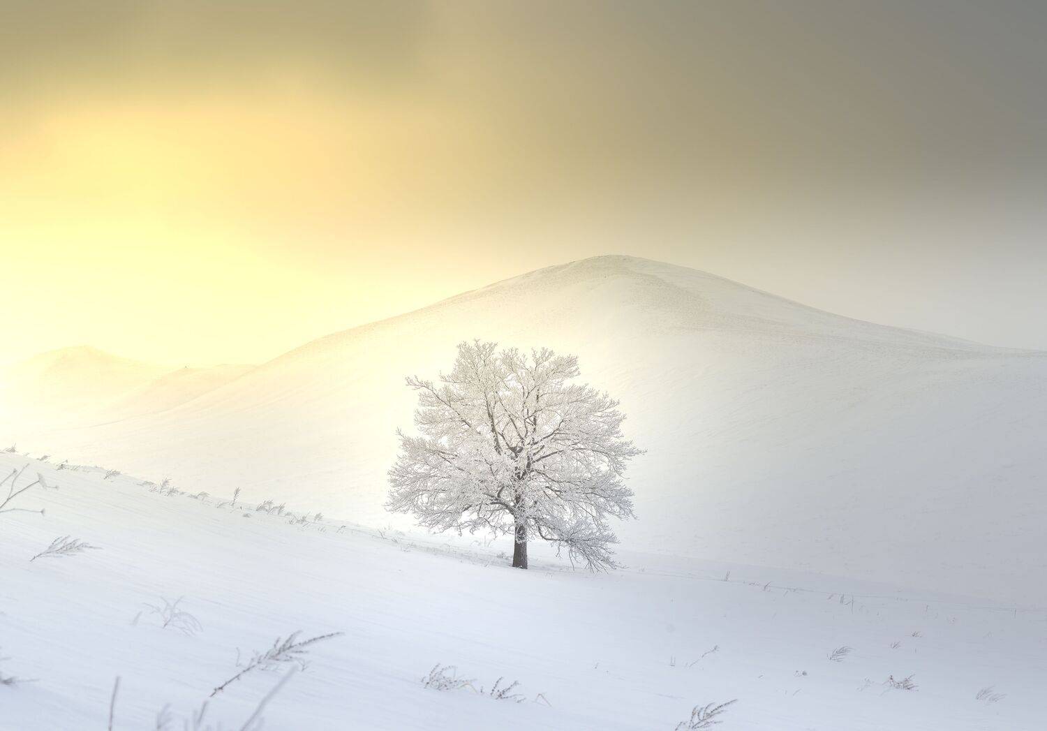 , Антонов Антон