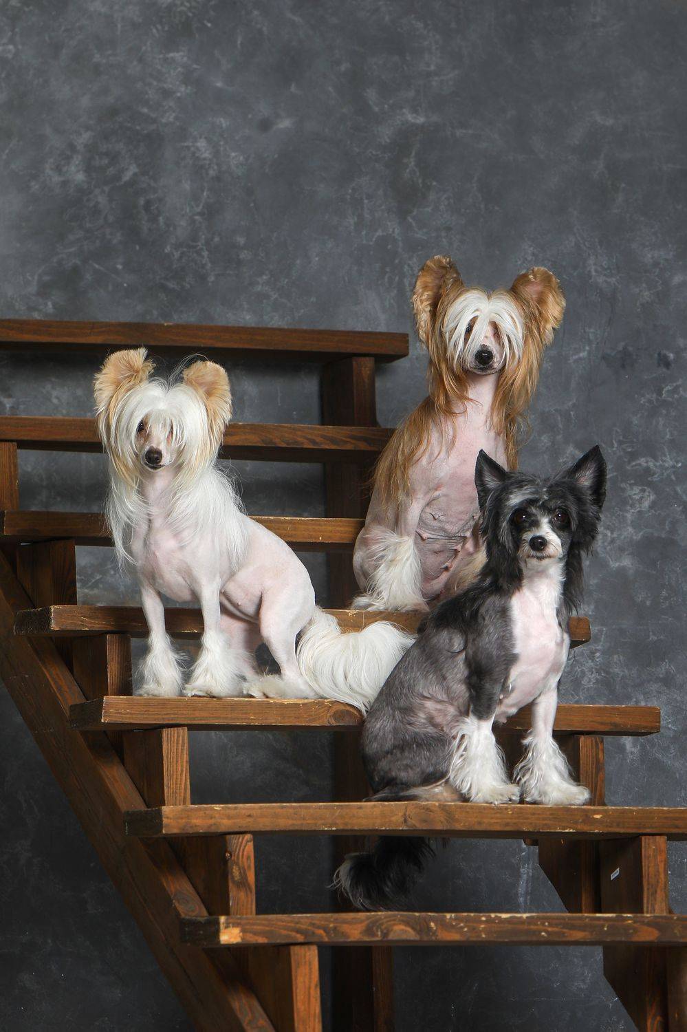 , Андрей Ершов