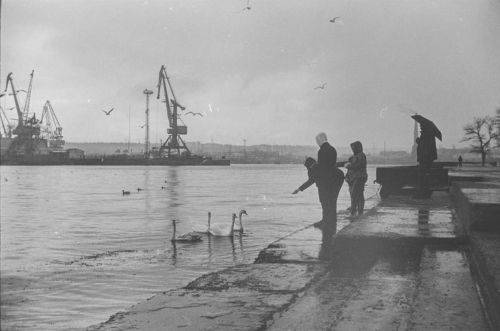 Зимнее прошлое.