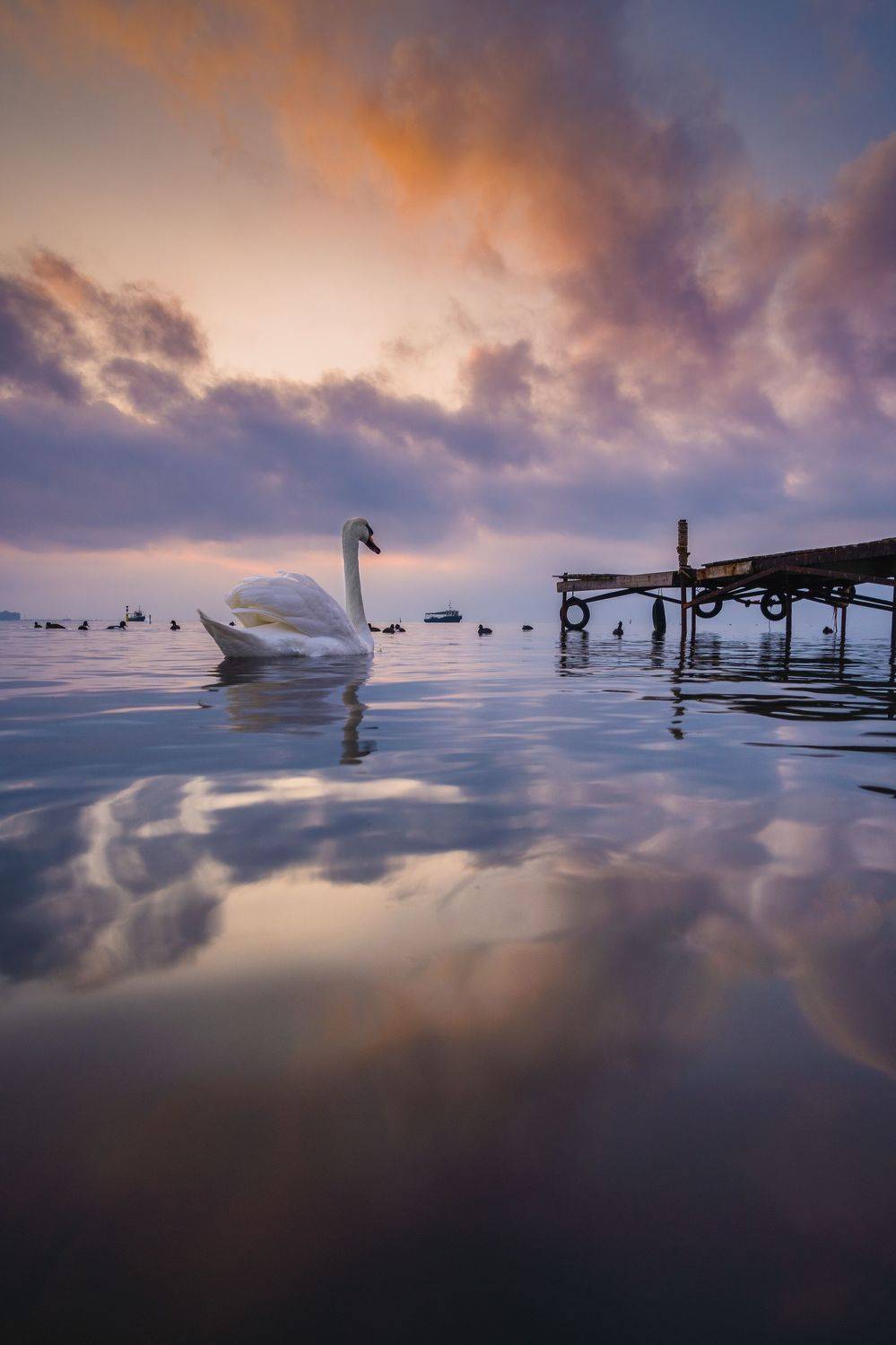 , Андрей Кривцов