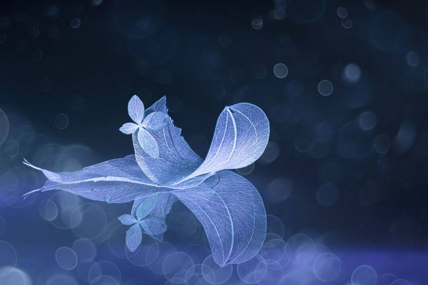 mood,close-up,still life, Игорь Копцев