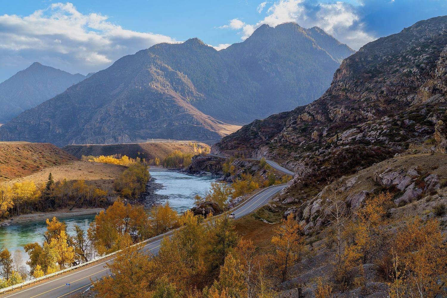 , Лариса Николаевна Дука