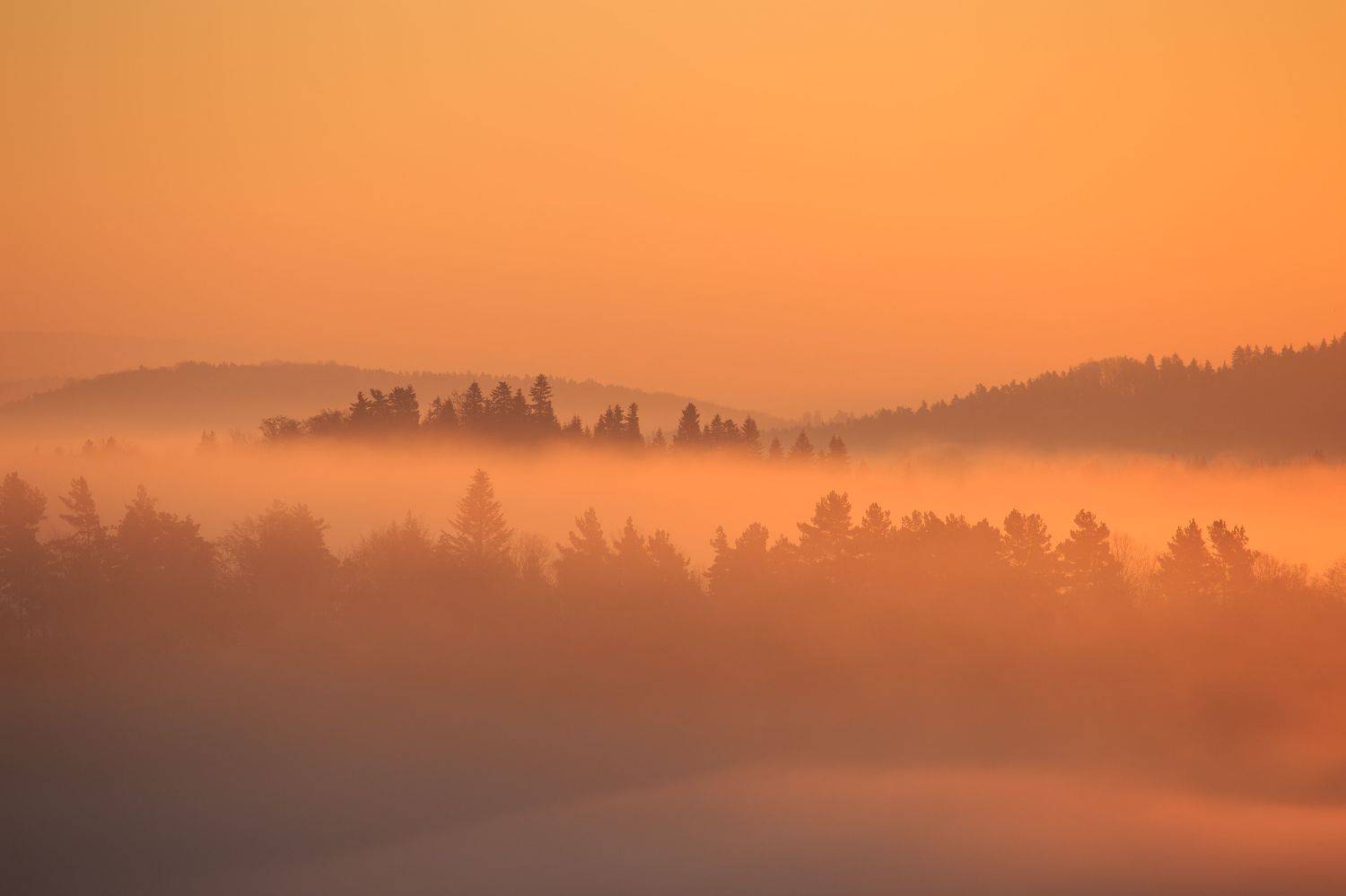 ,  Mirosław Pruchnicki