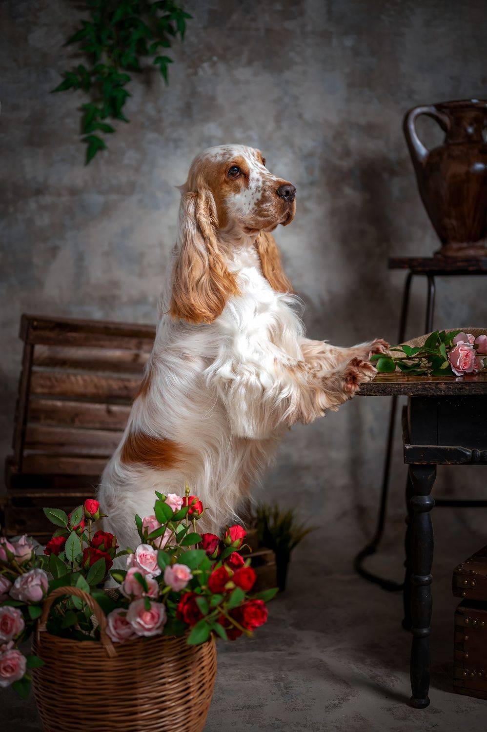 , Елена Савченкова