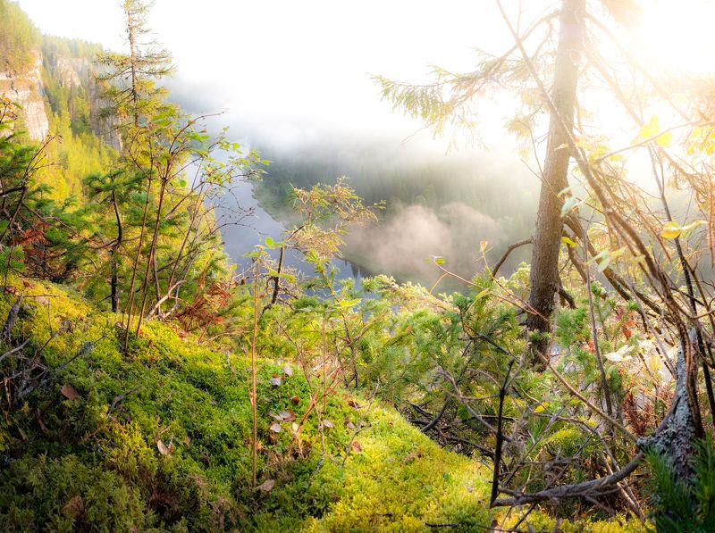 урал, пермский край, горы, леса, рассвет, солнце Рассвет на Усьве фото превью