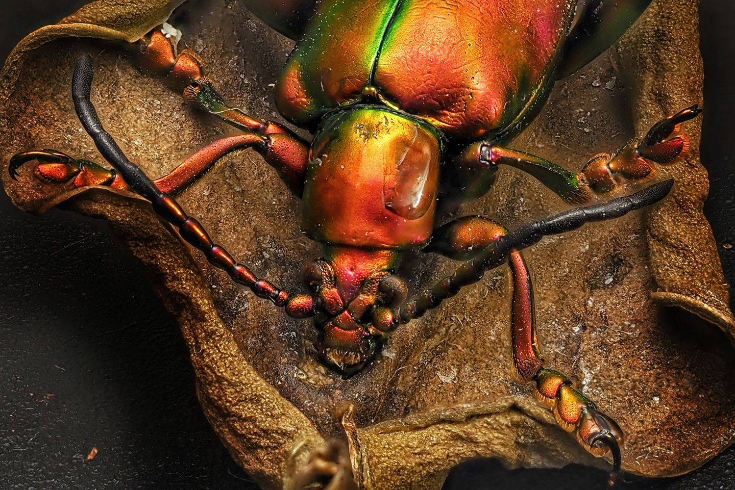 , Анатолий Савчук