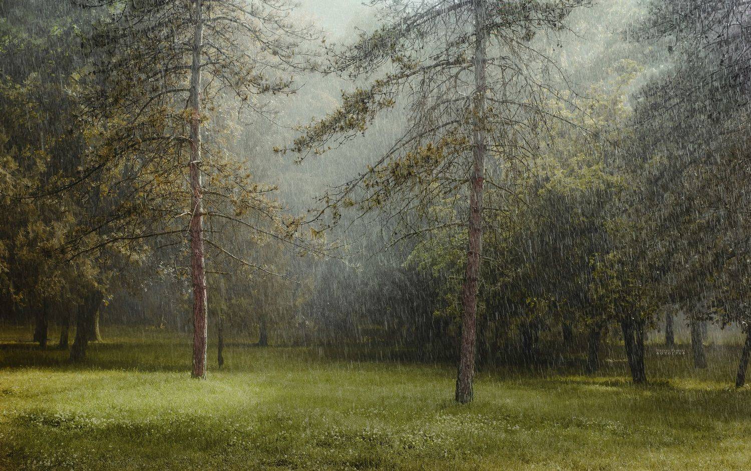 пейзаж, природа, дождь,  Мариночка