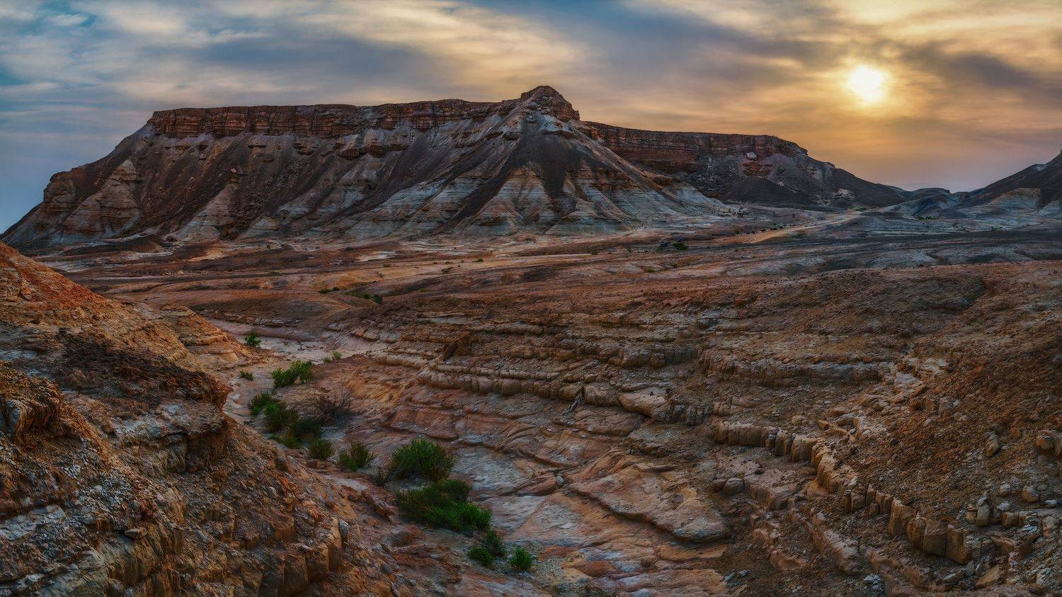 , Шварцман Евгений