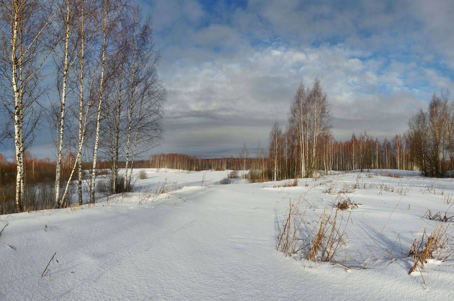 зима , поле , лес, Александр Свистков