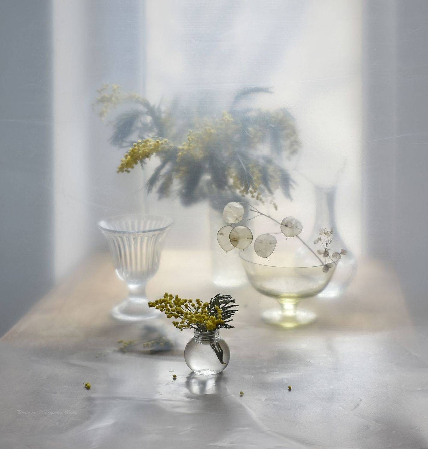 мимоза, лунария, стекло, весна, Ирина Шипунова