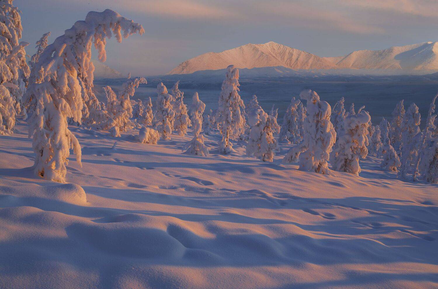 Фототуры с Владимиром Рябковым, #topnature #russpasibo #magic_shots #lovelyRussia #sunset_vision #exclusive_sky  #exclusive_shots #loves_russia2 #photoarena_nature #nature_sultans #nature_perfection #rsa_sky #rsa_sunset #photorussia #rsa_naturepics #sunse, Владимир Рябков