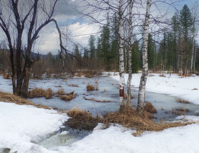 весна, природа, март Март фото превью