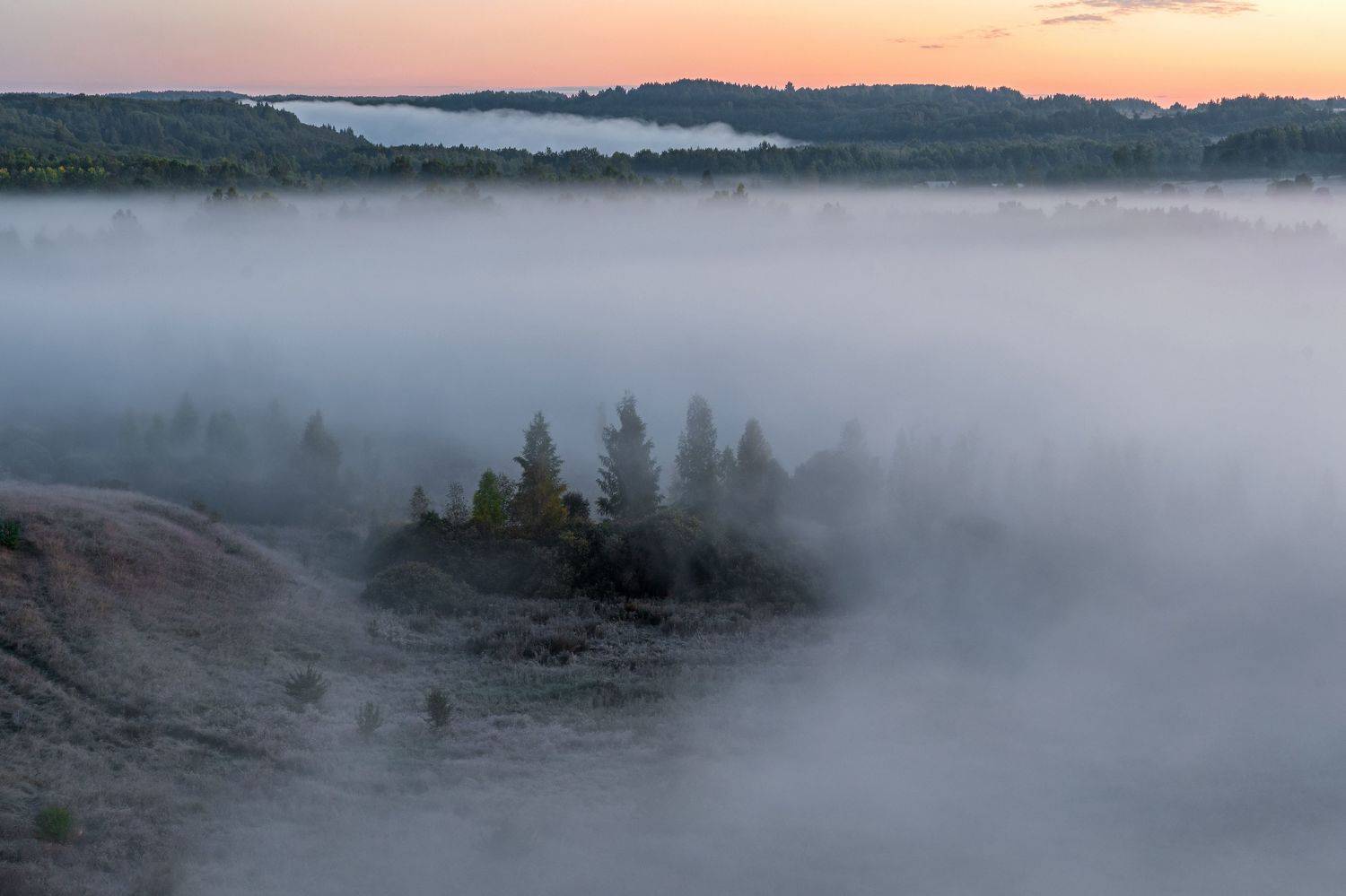 , Виктор Желенговский