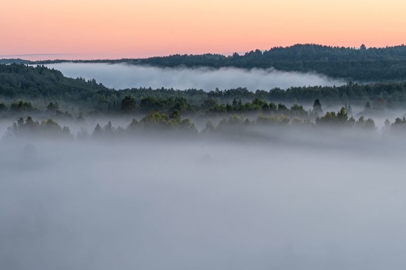 Туманное утро фото превью