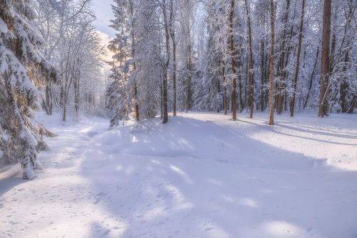 Просыпался день
