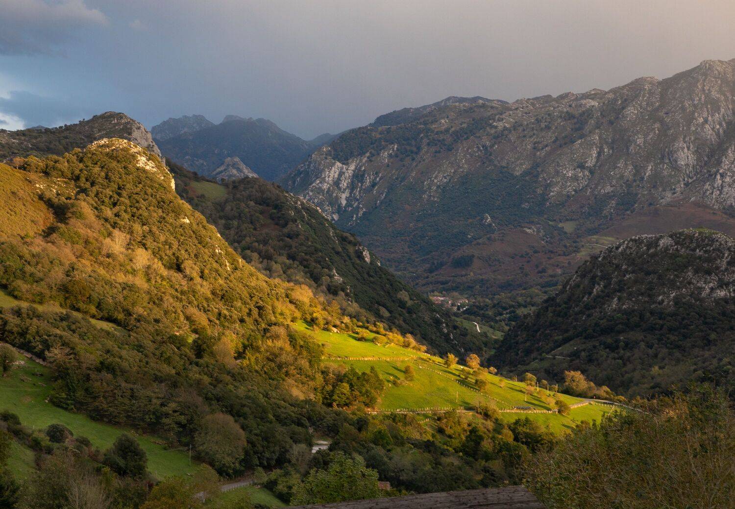 , Алекс Римский