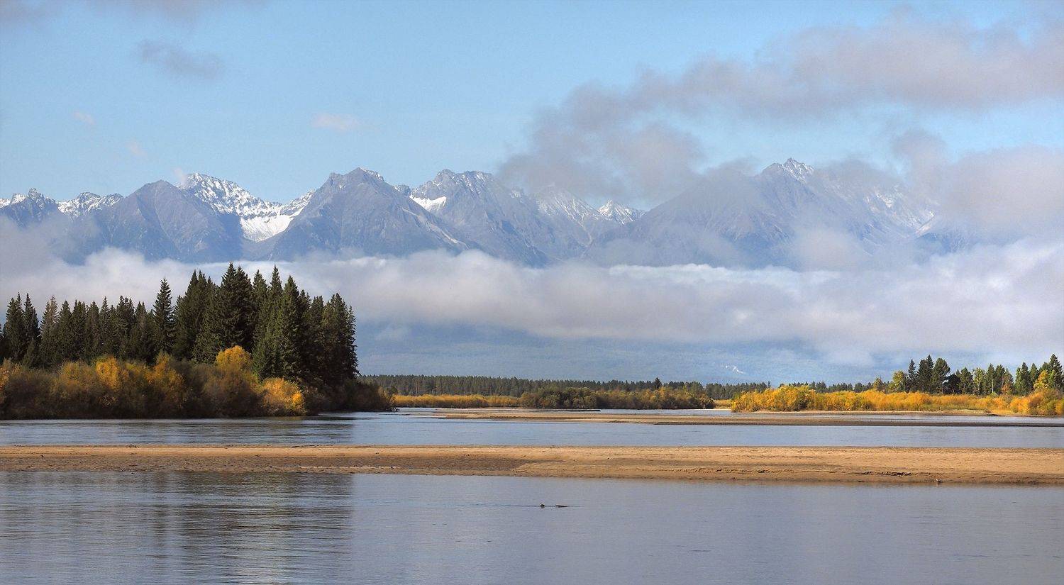 , Александр Попов