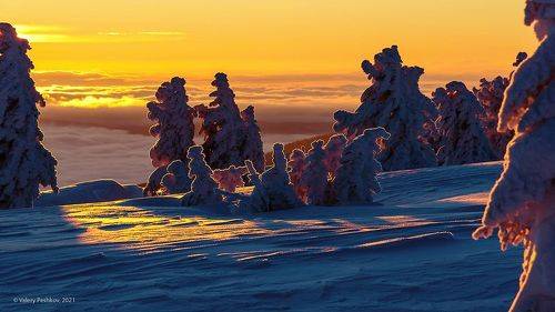 Утро в контровом свете
