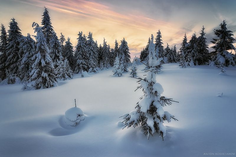 Типичный зимний пейзаж фото превью