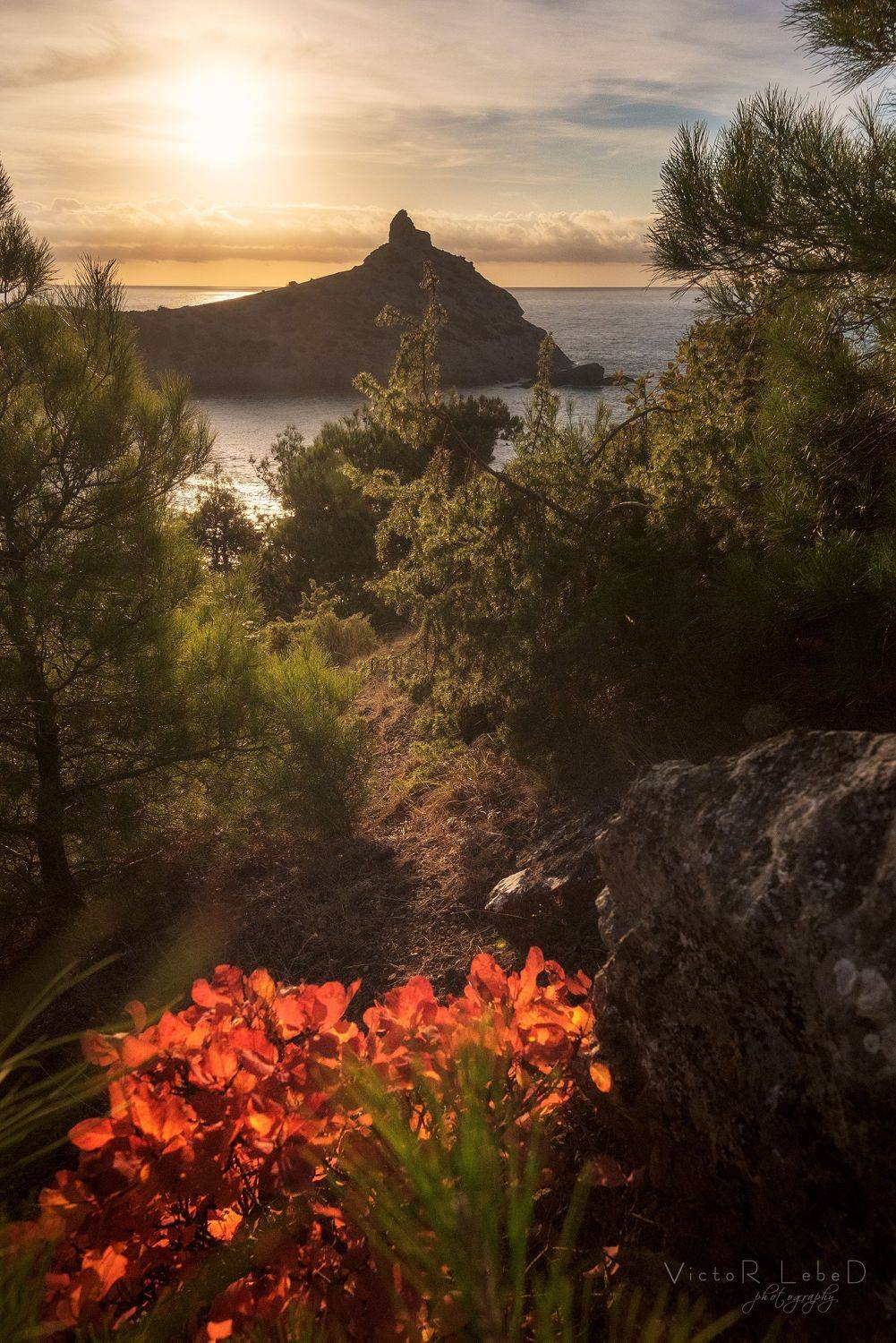 , Виктор Лебедь