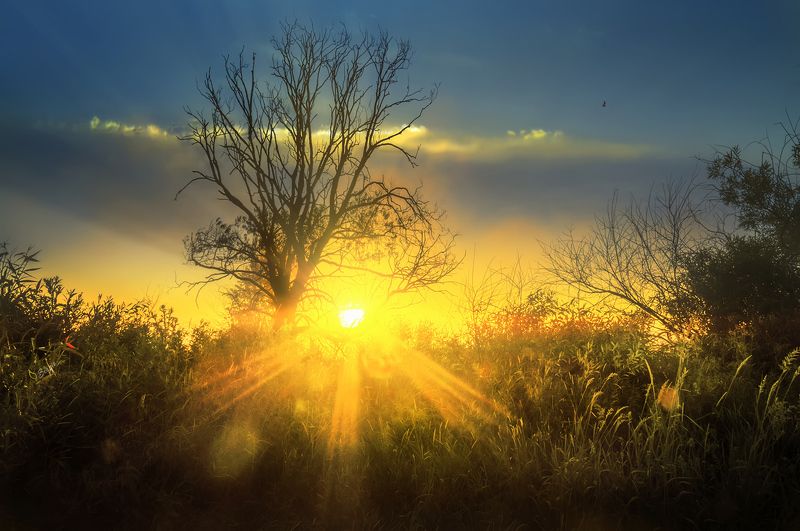 Беларусь Солнце светит всем одинаково фото превью