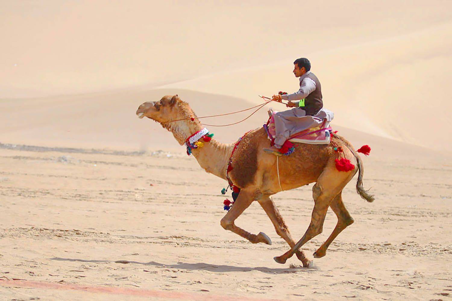 , mehdi karimi souderjani