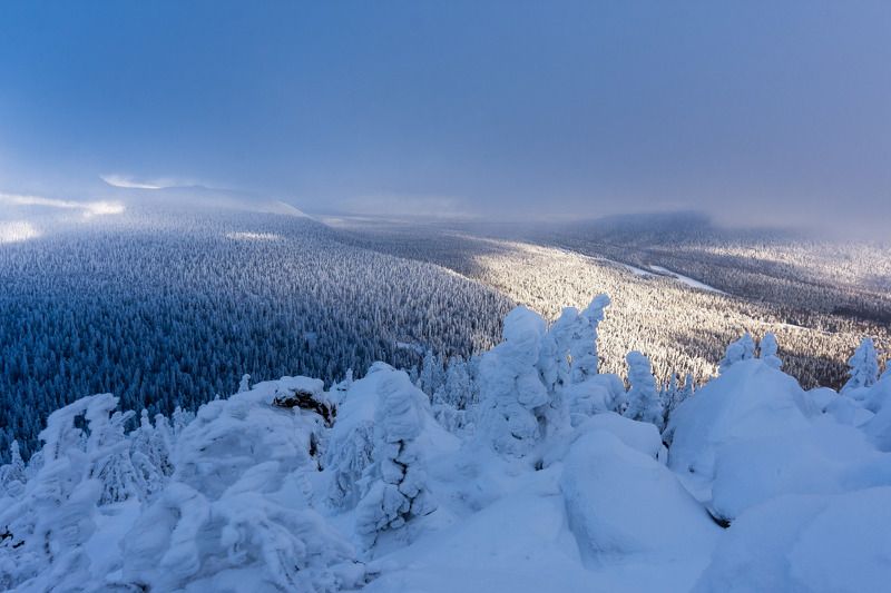 ******* фото превью