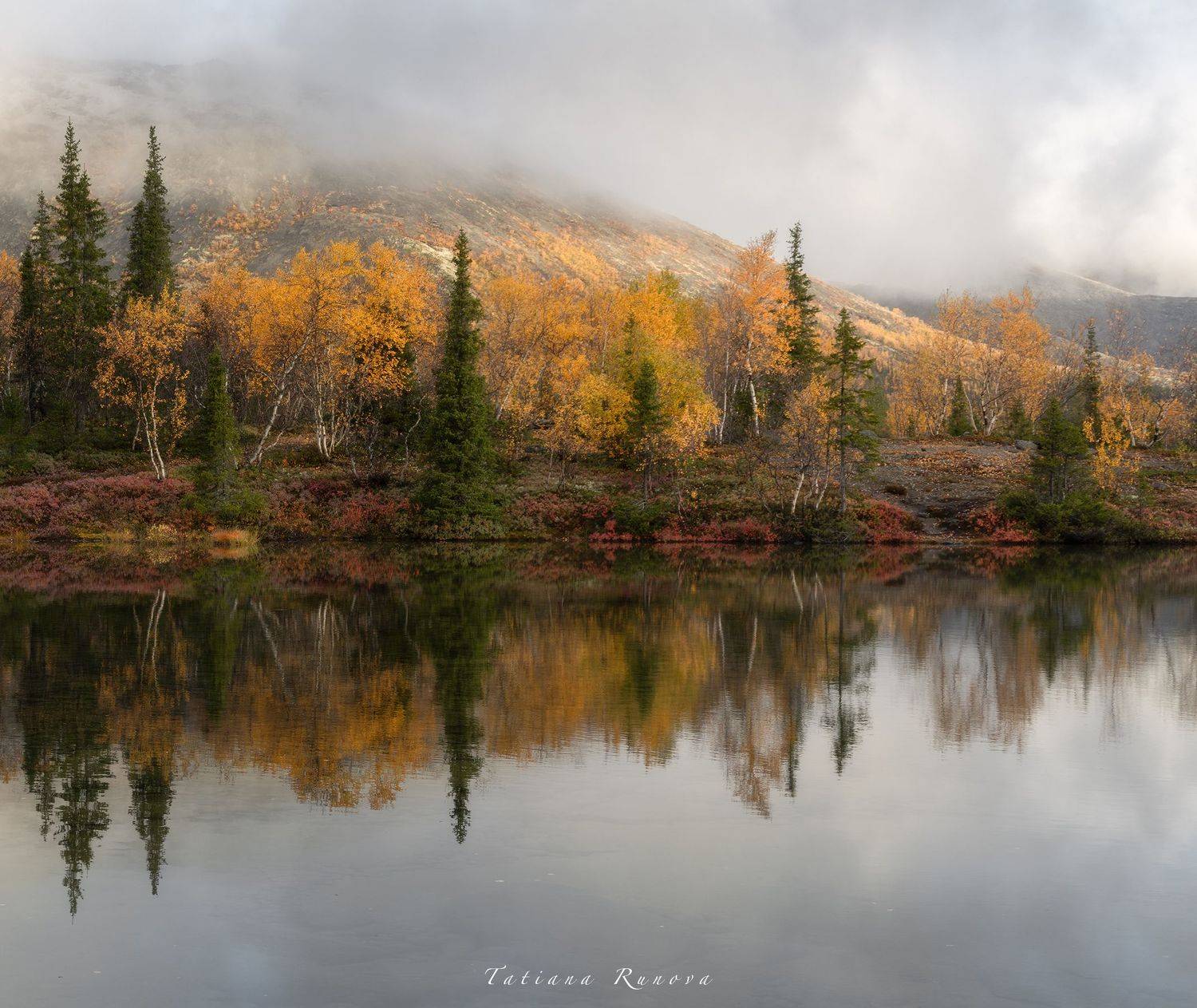 , Рунова Татьяна