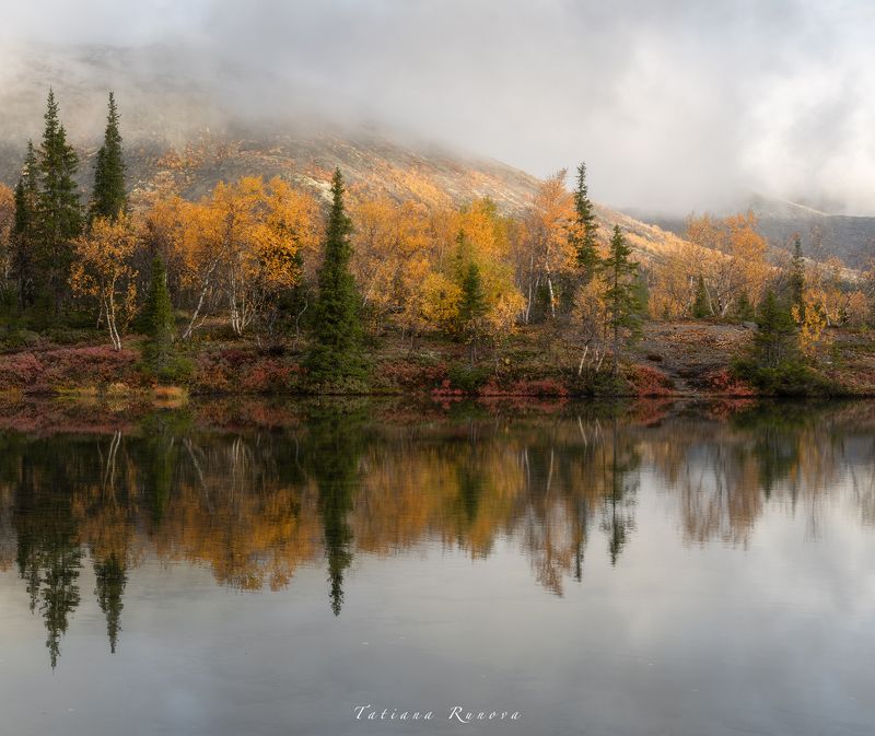 Осенняя акварель фото превью