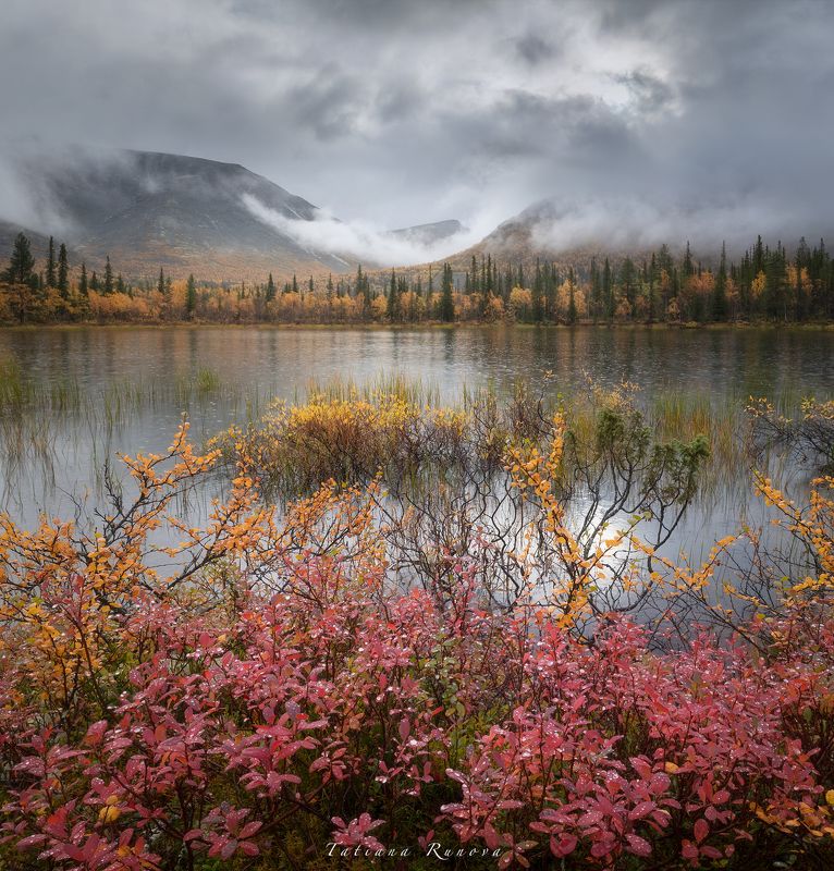 Краски дождя фото превью