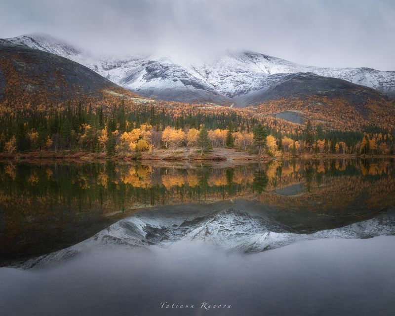 Отражение фото превью