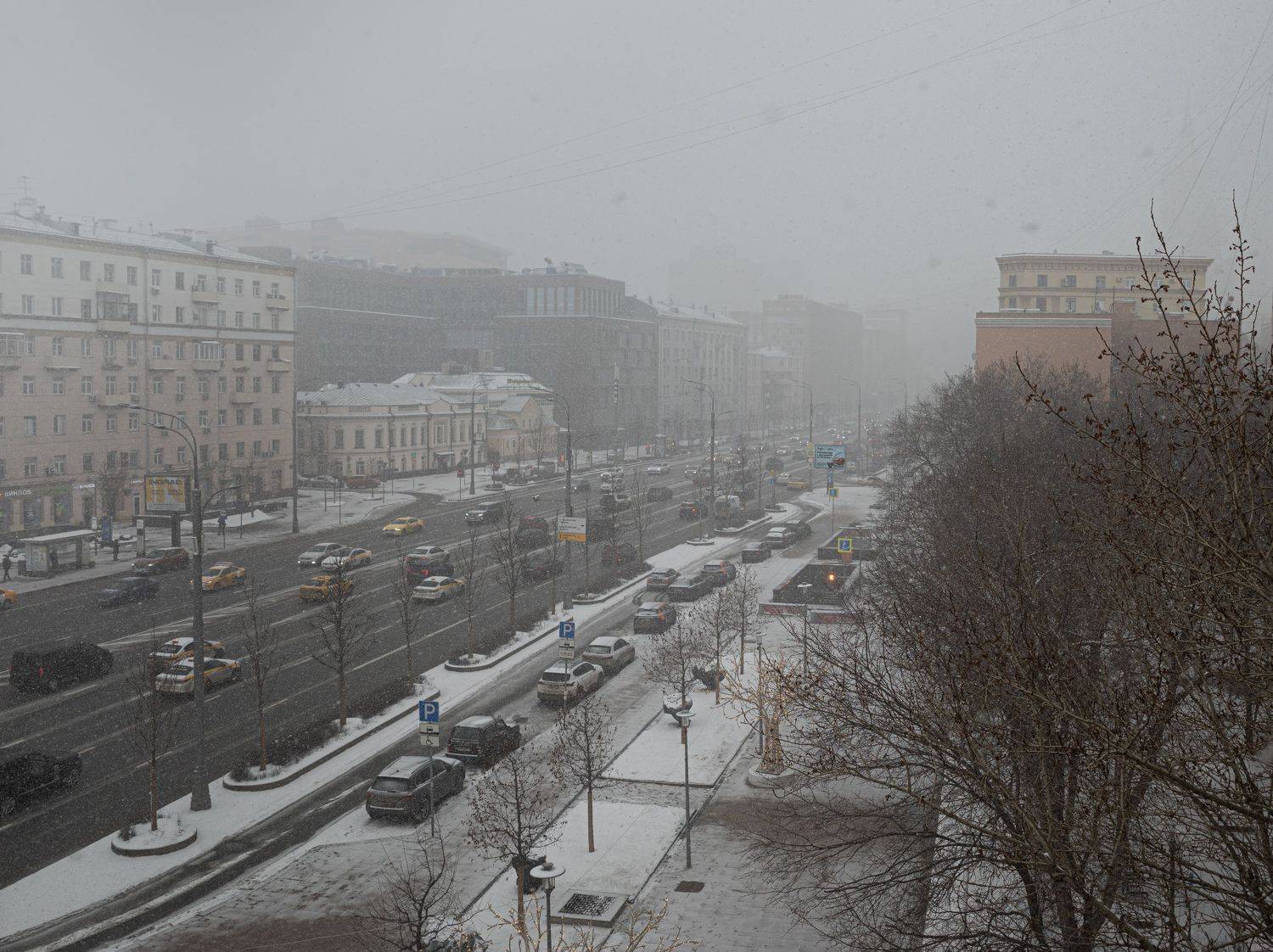 , Курлянцев Алексей