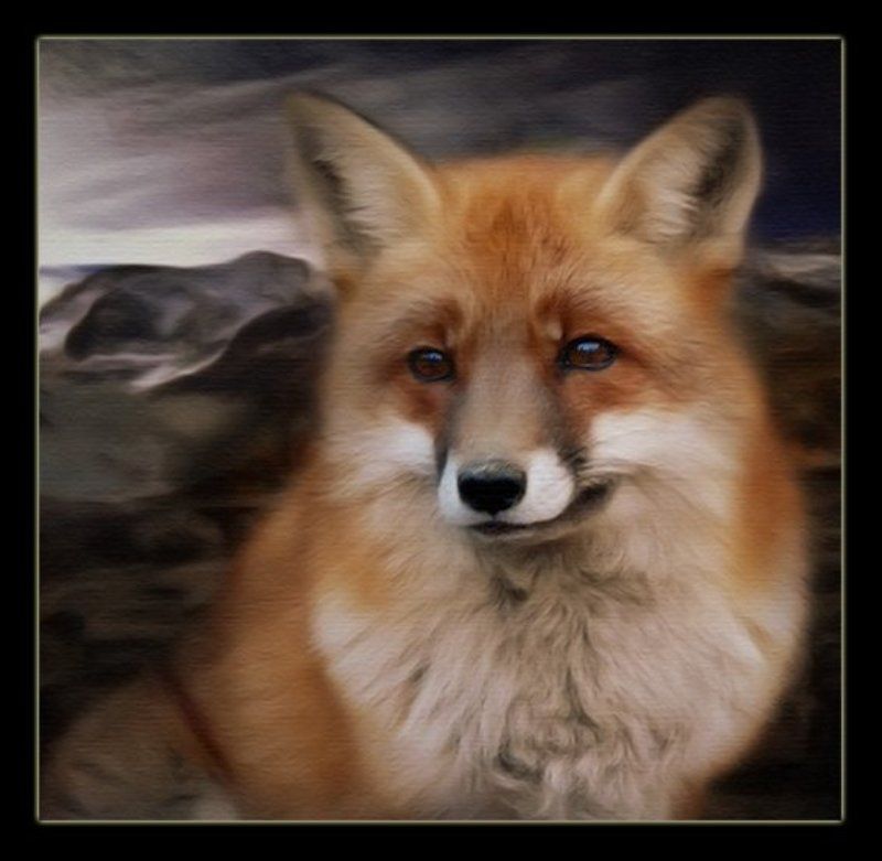 рыжая фото превью