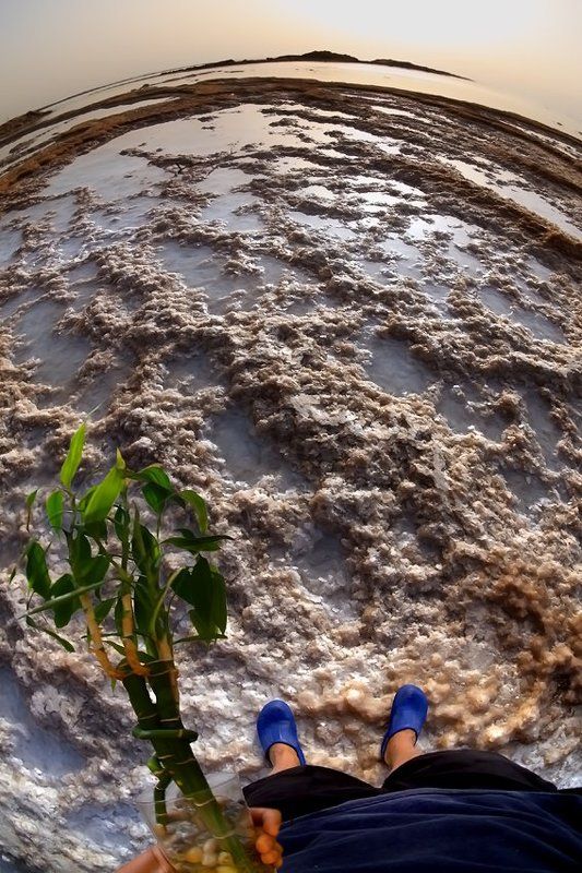 Маленький принц фото превью