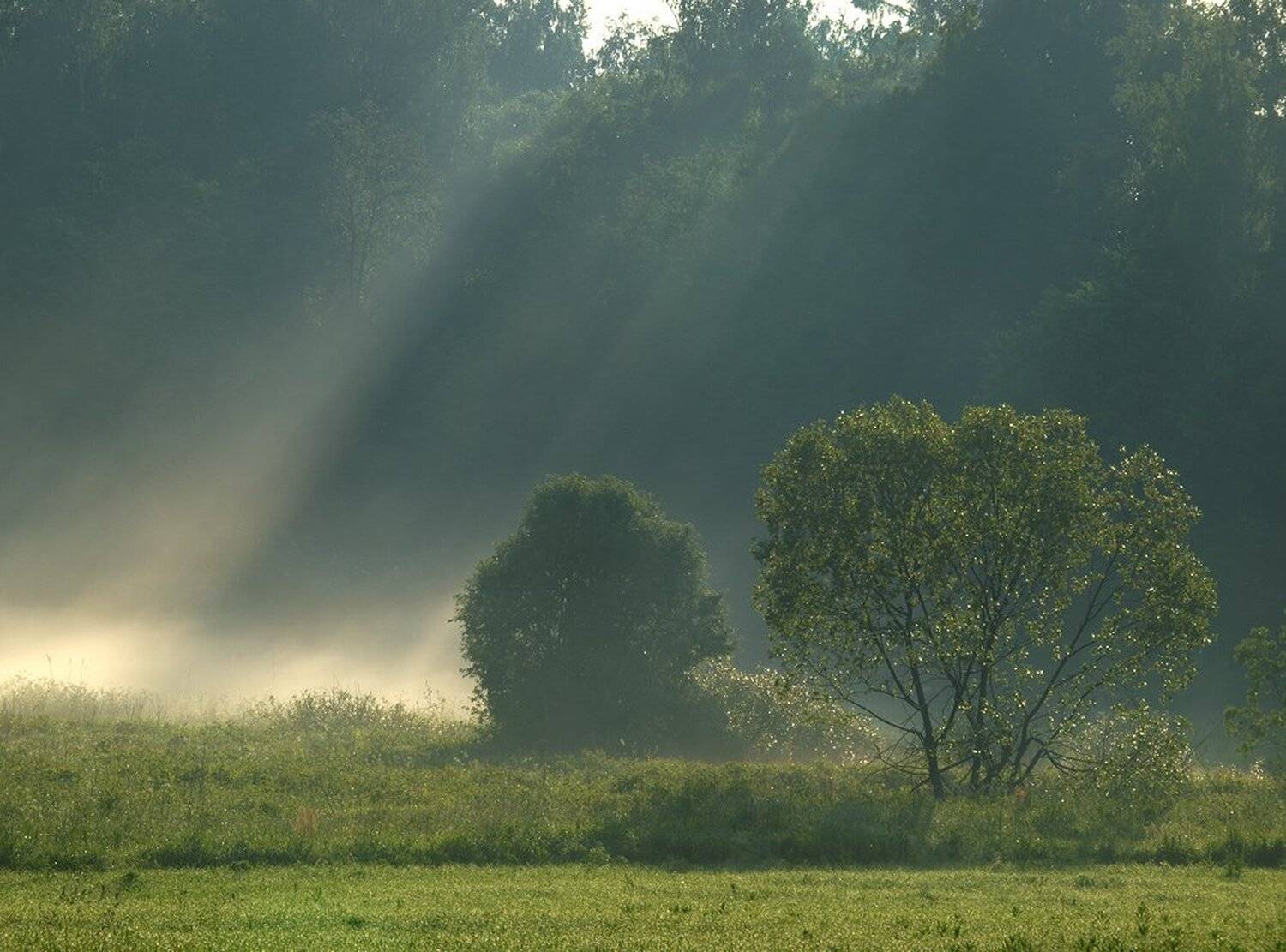 , Максим Евдокимов