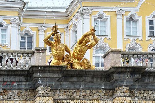 А Поливать МЫ на ВАС хотели!