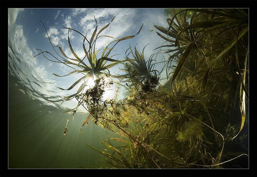 , Нарчук Андрей