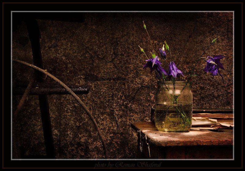 Одиночество... фото превью