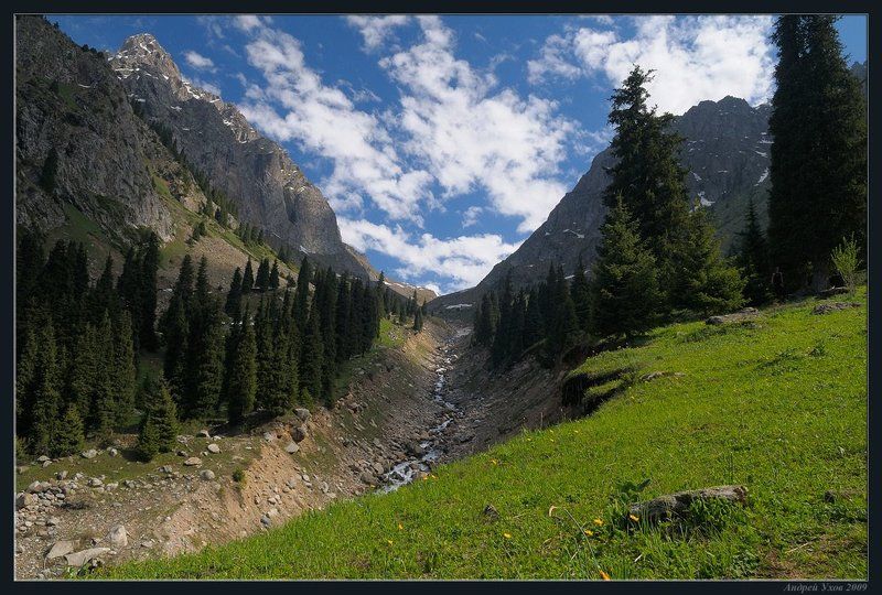 природа,горы,лето,ущелье,лес,цветы,скалы,деревья,трава,облака,река,елки В горы пришло лето фото превью