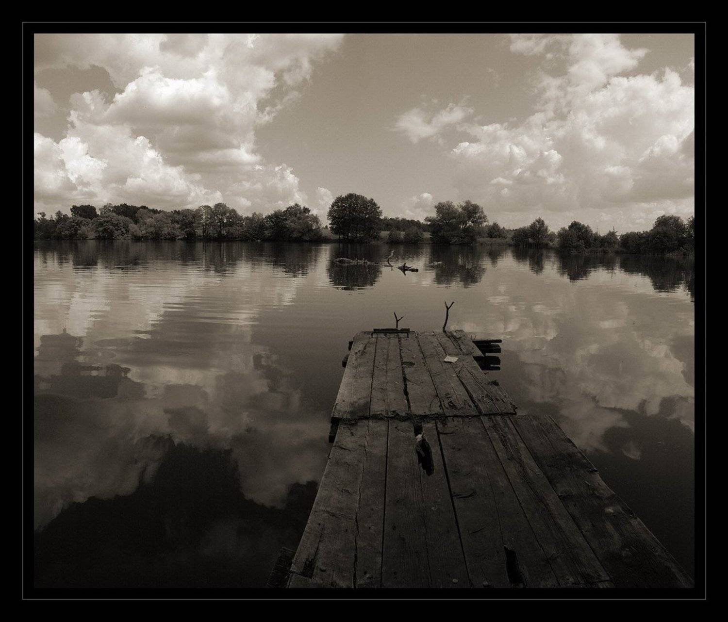 пейзаж, природа, вода,  тишина, Дмитрий Г.